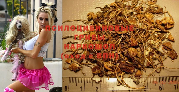 бошки Надым